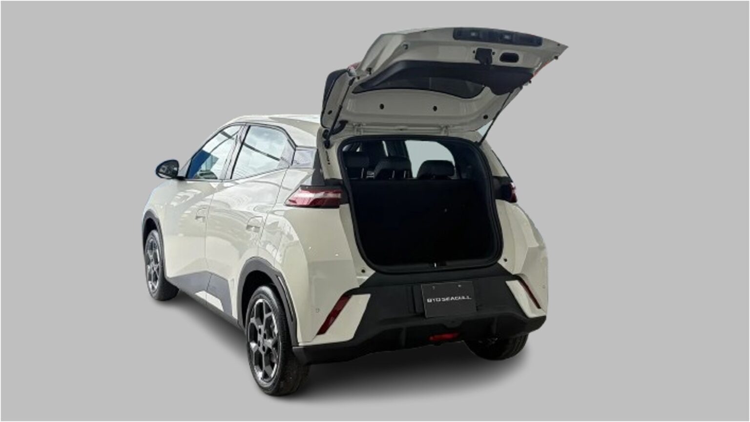BYD Seagull 2027